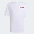 Muška majica adidas Graphic tee