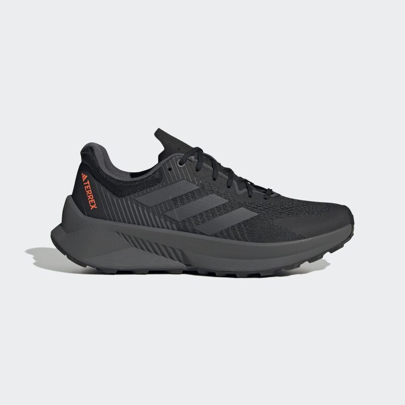 Muške cipele adidas Terrex soulstride flow