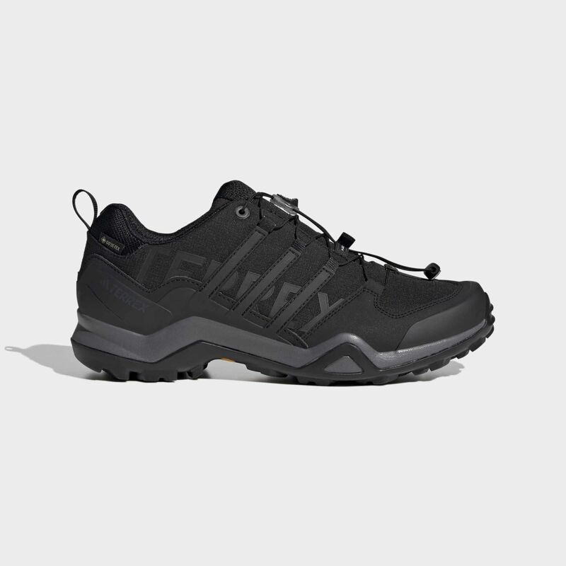 Muške cipele adidas Terrex Swift R2 Gtx