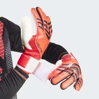Muške golmanske rukavice adidas Pred gl mtc