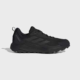 Muške cipele adidas Terrex anylander