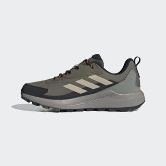 Muške patike adidas Terrex anylander r.rdy