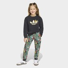 Dečija trenerka adidas Crew set