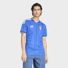 Muški dres adidas Figc h jsy