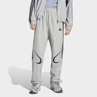 Muška trenerka donji deo adidas Teamgeist tp