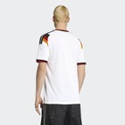 Mu&scaron;ki dres adidas Dfb h jsy