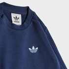 Dečiji set adidas Denim crew set