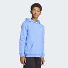 Dečiji duks adidas Regular hoodie fleece sweatshirt